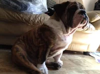 photo(2).webp