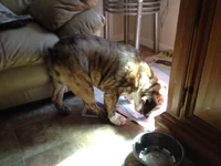photo(4).webp