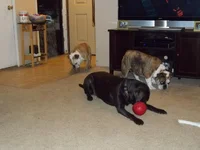 100_0635.webp