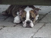 DSCF2088-M.webp