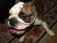 DSCF0042.webp