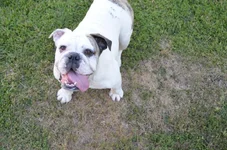 iphone pix 062412 140.webp