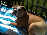 Otis - 06-28-12.jpg