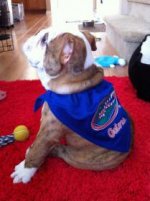 gatorwinslow_12.5week.jpg