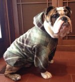 rookFleece3.jpg rookFleece3.jpg