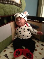 IMG_0686.jpg IMG_0686.jpg