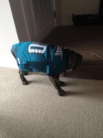 Eagles jersey 2.webp