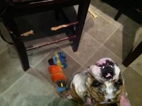 what did he do.webp