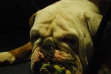 Winston's 2nd Birthday 009.webp
