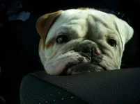 Spring 2011 022.webp