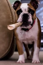 Ellie Mae 1.webp Ellie Mae 1.webp