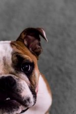 Ellie Mae 2.jpg Ellie Mae 2.jpg