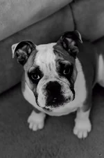 Ellie Mae 3.webp Ellie Mae 3.webp