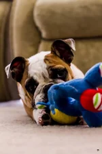 Ellie Mae 4.webp Ellie Mae 4.webp