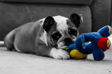 Ellie Mae 5.webp Ellie Mae 5.webp