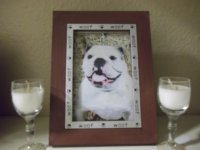 100_0700.jpg 100_0700.jpg