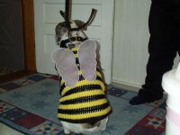 BumbleBowzer02.jpg