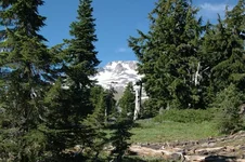 Kables In Oregon 2012 036.webp