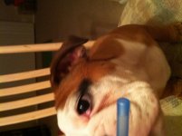 IMG_1839.jpg