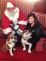 Christmas 2012.webp