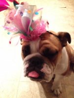 Karly celebrating Nigels bday.jpg Karly celebrating Nigels bday.jpg