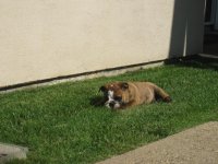 IMG_1263.jpg IMG_1263.jpg