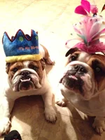 Nigels 2nd Birthday.webp