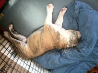 lazysunday.jpg lazysunday.jpg
