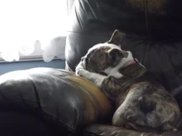 DSCF2240.webp