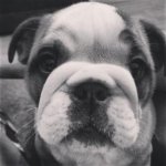 image (2).jpg image (2).jpg