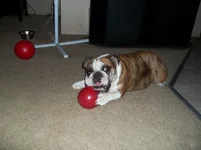 100_0308.webp