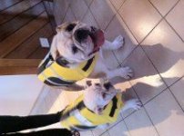 Life Jackets.jpg Life Jackets.jpg