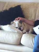 ImageUploadedByTapatalk1347263032.939193.jpg ImageUploadedByTapatalk1347263032.939193.jpg