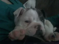 1219121645.webp