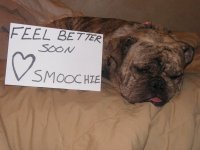 april 020.jpg april 020.jpg