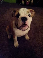 Lola first year one 012.webp