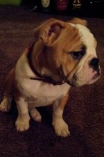 Lola first year one 014.jpg