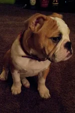 Lola first year one 014.webp