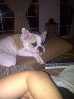 Dubai-20120911-00148.webp