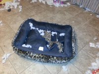 20130108_164423.jpg 20130108_164423.jpg