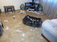 20130108_164411.jpg 20130108_164411.jpg