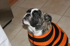 IMG_3818.webp