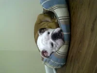 IMG-20120912-01532.webp