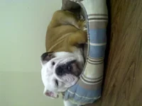 IMG-20120912-01533.webp