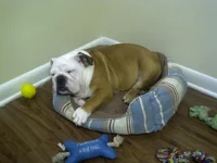 IMG-20120912-01537.webp