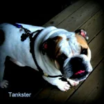 uploadfromtaptalk1352612638134.webp