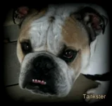uploadfromtaptalk1352612668278.webp