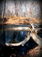 DSCF4194.webp
