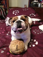 05032012 Nigel.webp