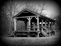 DSCF4210.webp